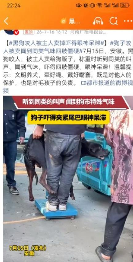 安徽一只黑狗咬伤邻居后，主人按重量将它卖给狗贩子。转运至狗市称重时，它听见同类惨