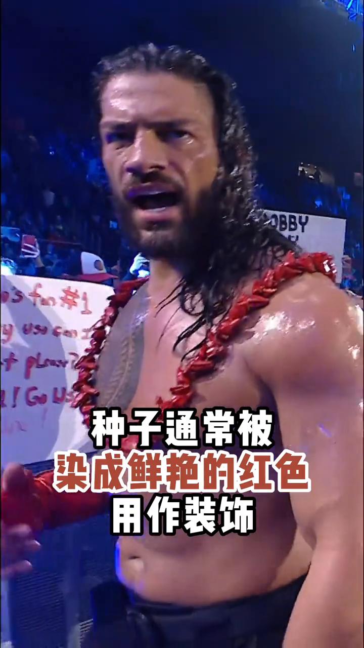 你是否好奇过罗门·伦斯戴着的红色项链到底是什么？
E叫ULA FALA，又名爸长