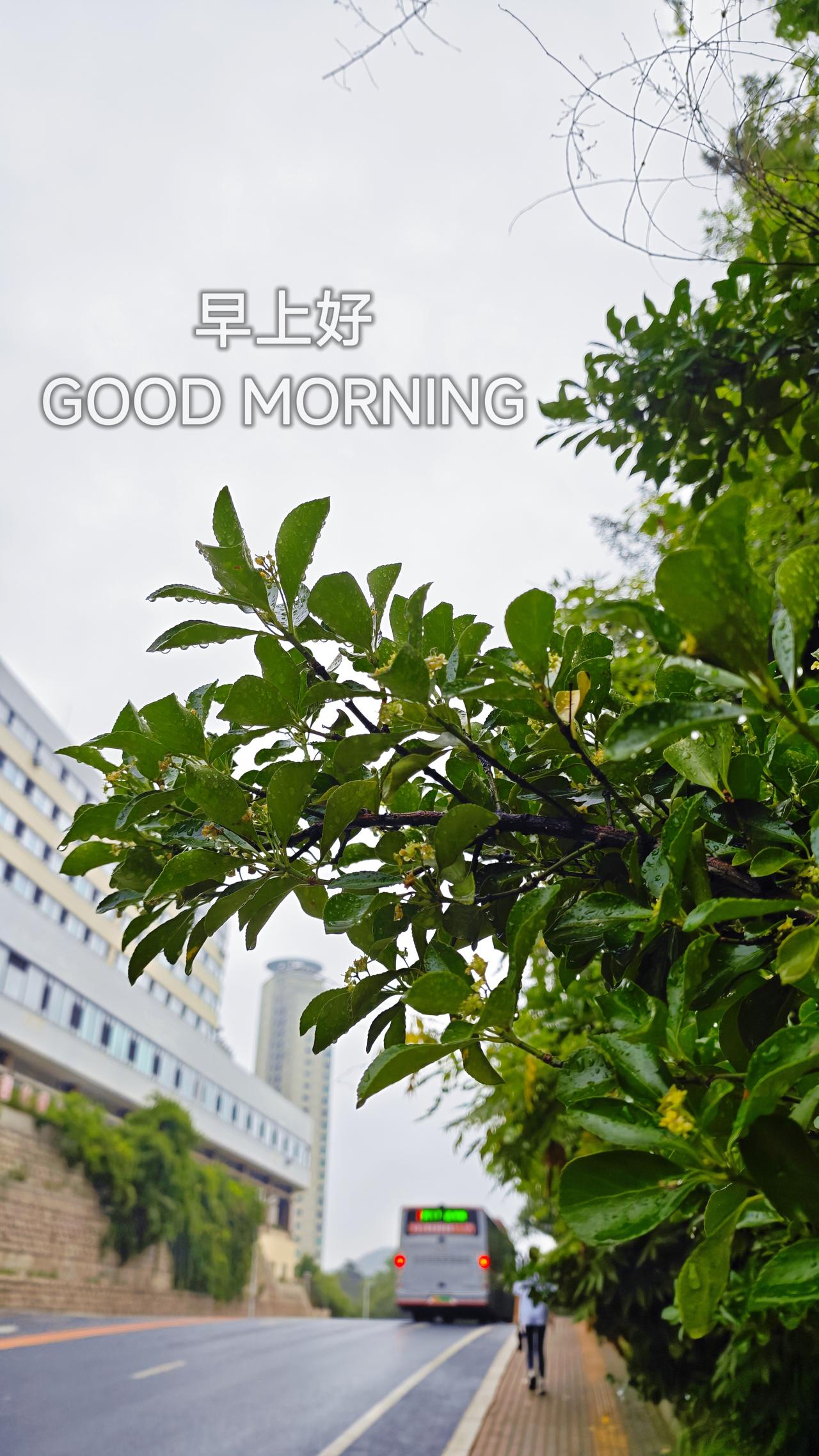 7月25日 暑假Day 12/49
晨练8🧮总结：阅读类60分钟；家庭学习内容
