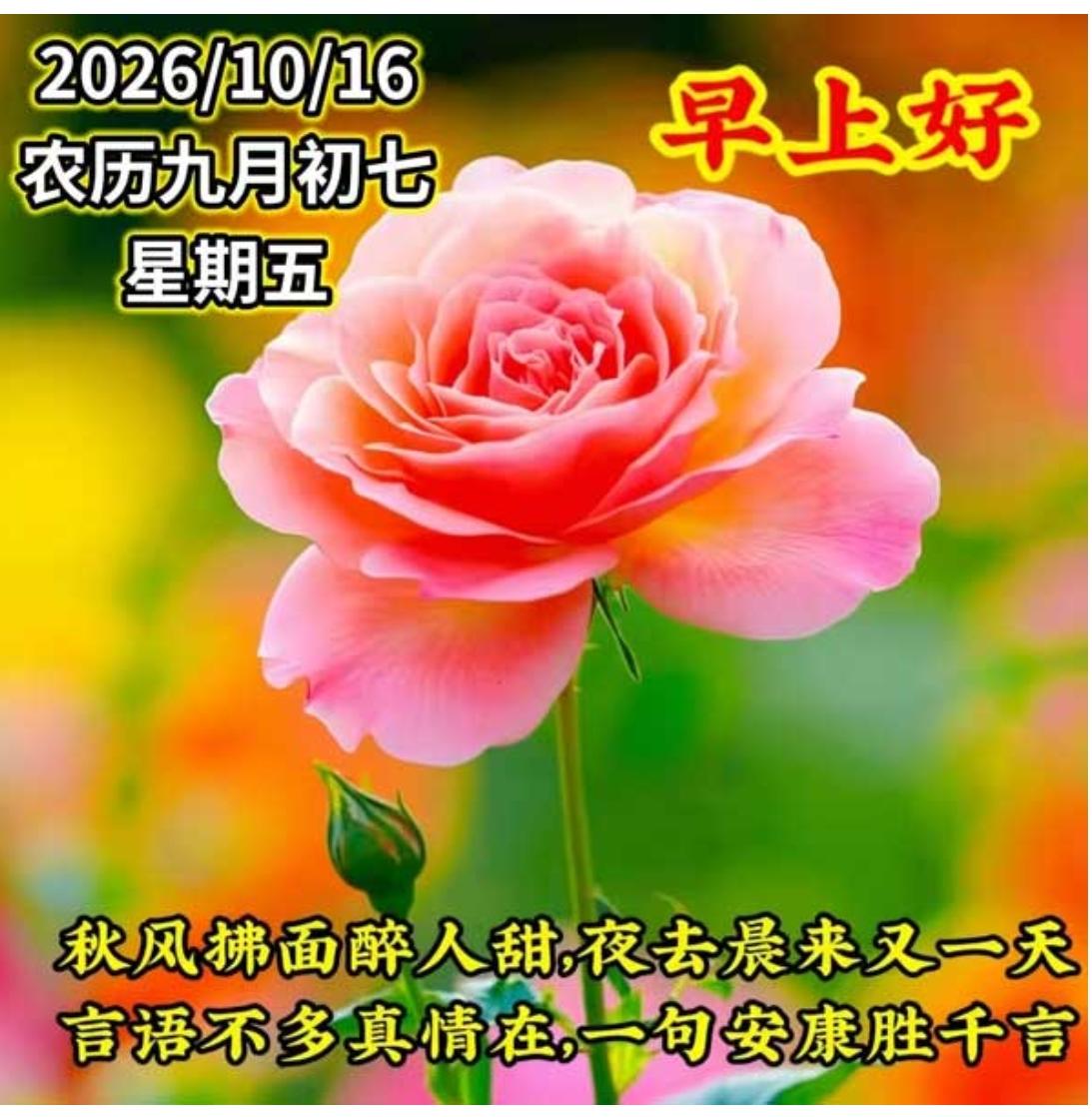 金秋时节，丹桂飘香，秋风送爽，秋意渐浓，新的一天开始了，愿你笑容如秋阳般灿烂，岁