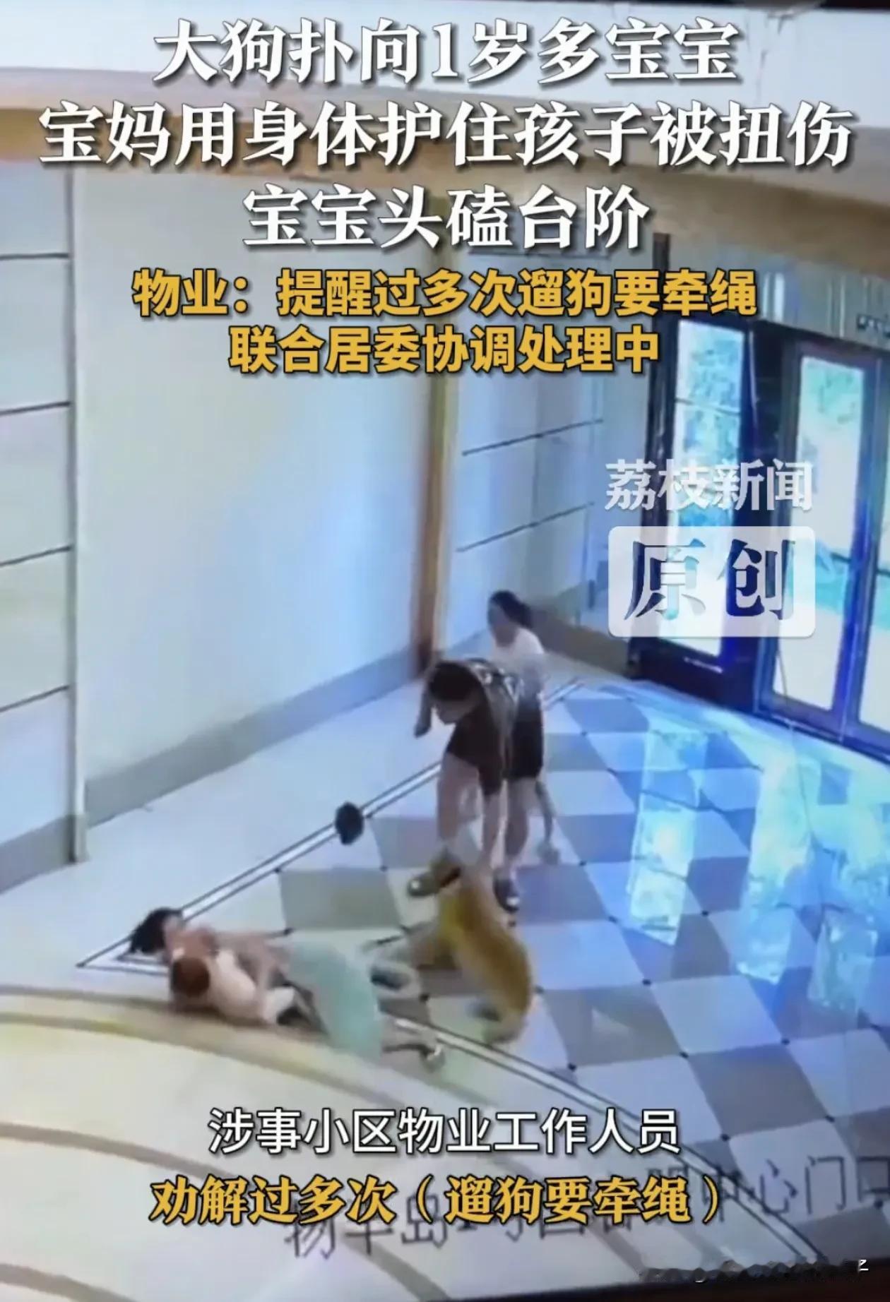 这下“爱狗”人士没话说了吧！没看错的话，扑向小孩的应该是金毛，记得很多养狗人都说