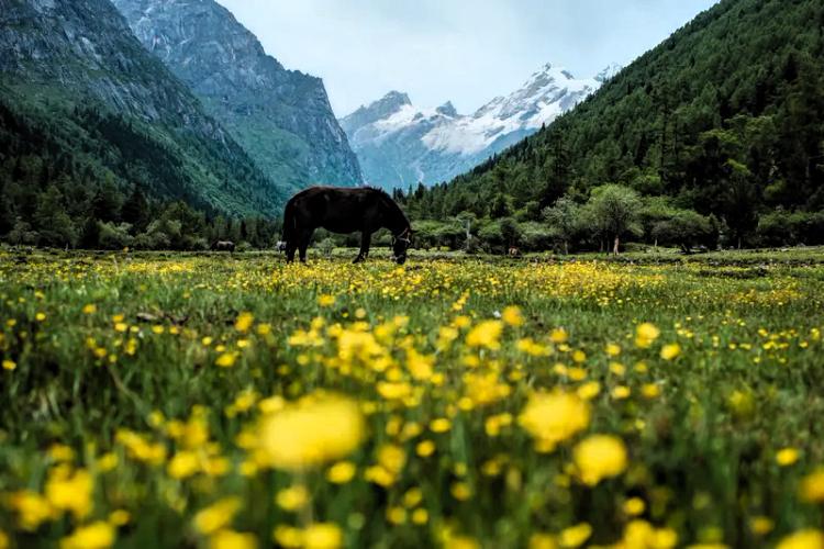“乾坤未定，你我皆是黑马。”

          未知征途，你我皆可翻盘

黎