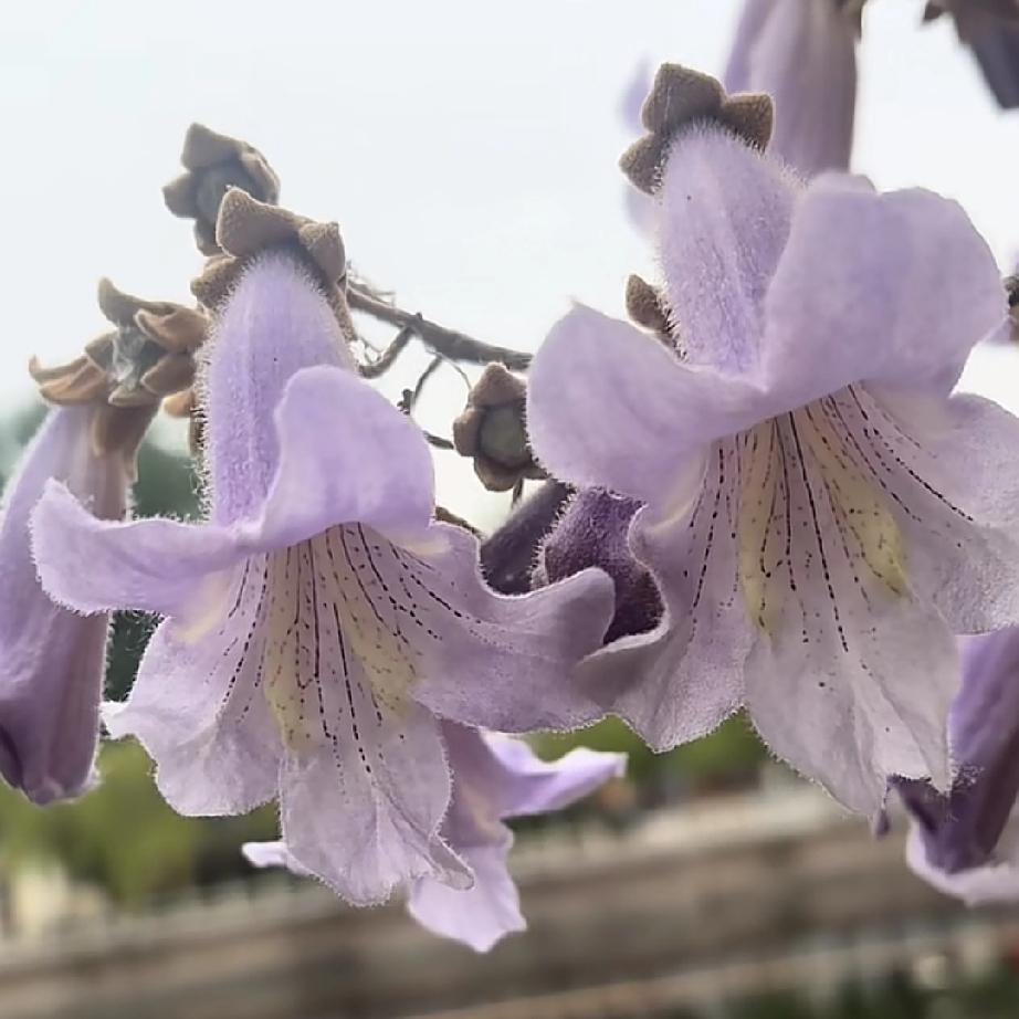 在感情里一定不要和自私的人去谈恋爱，因为和这样的人谈恋爱，他只在乎他自己的感受，