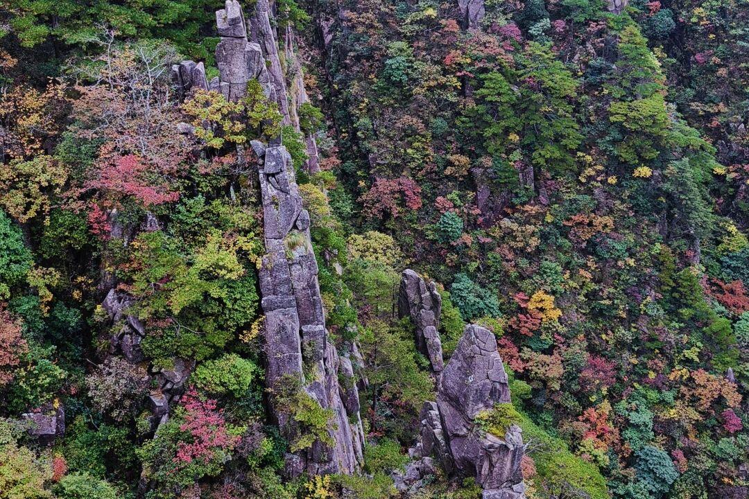 黄山赏秋保姆级攻略：交通、线路、观景点、穿搭...邂逅美好秋日

10月下旬至1