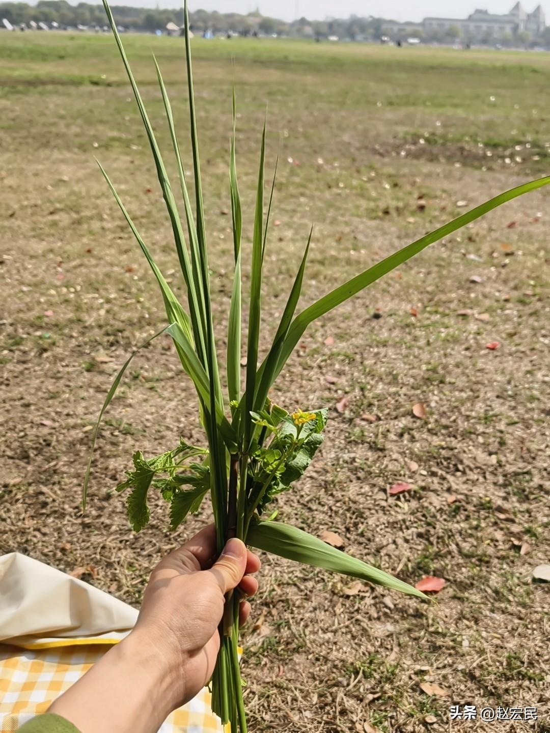 掬水天在手，执叶伴春游。
问君娜最好，仰首随心走。
《游春》——赵宏民