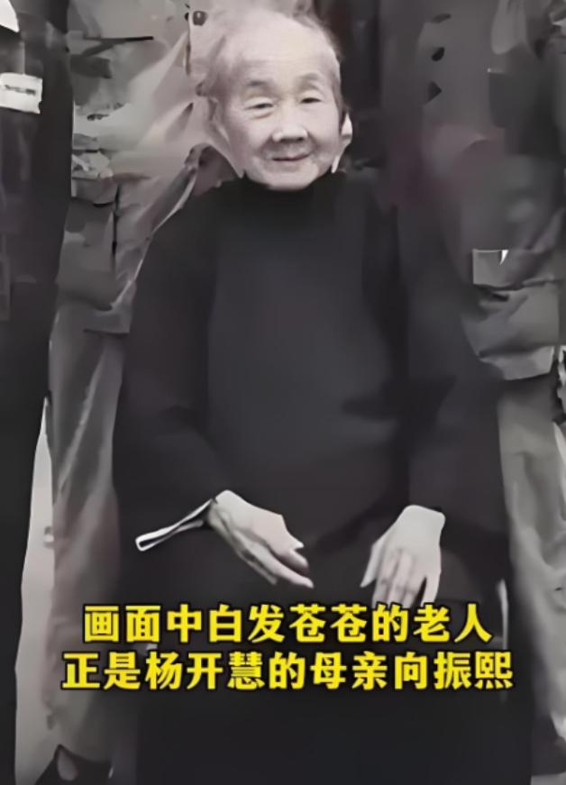 解放后，杨开慧的母亲向振熙老人跪地痛哭，她哭的不是逝去的女儿，而是替那个隐忍二十