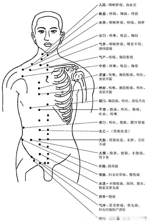 淤堵在哪，肉就堆在哪儿

1、脸上个肉多
表现：这类人可能不胖，但是脸蛋两侧全是