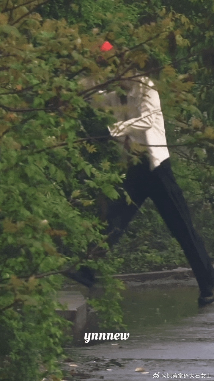 张凌赫无效挡雨张凌赫用水瓢挡雨开始推理吧 小水瓢挡不住雨，但挡不住可爱。张凌赫小