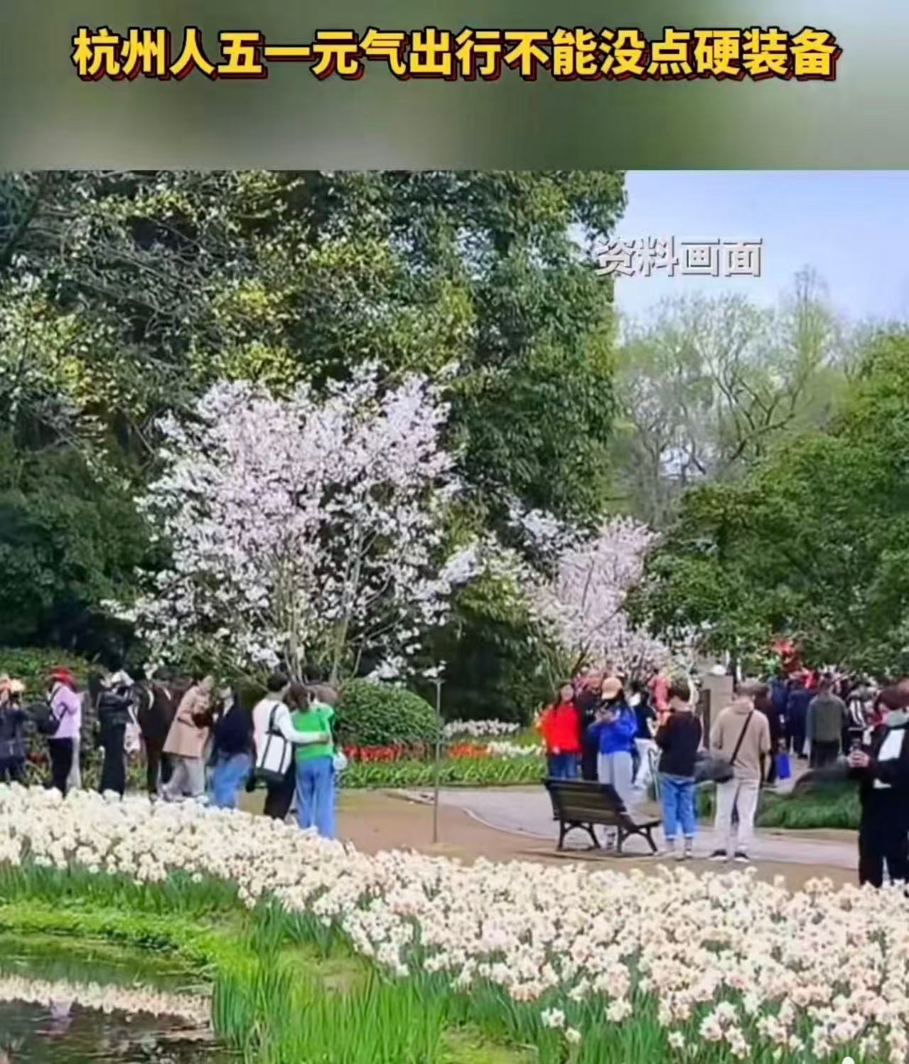 杭州人五一元气出行不能没点硬装备“杭州人的‘硬核’是藏在细节里的温柔——竹编野餐