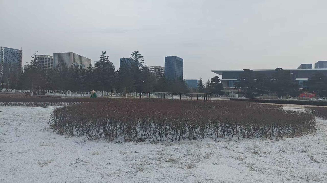 ❄️雪把整个广场裹成了白画布 —— 路灯顶着雪粒子支棱着，远处建筑的轮廓浸在冷灰