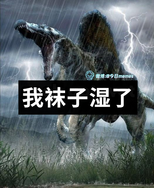 啊！（9gag）今日meme[超话] 今日memes ​​​