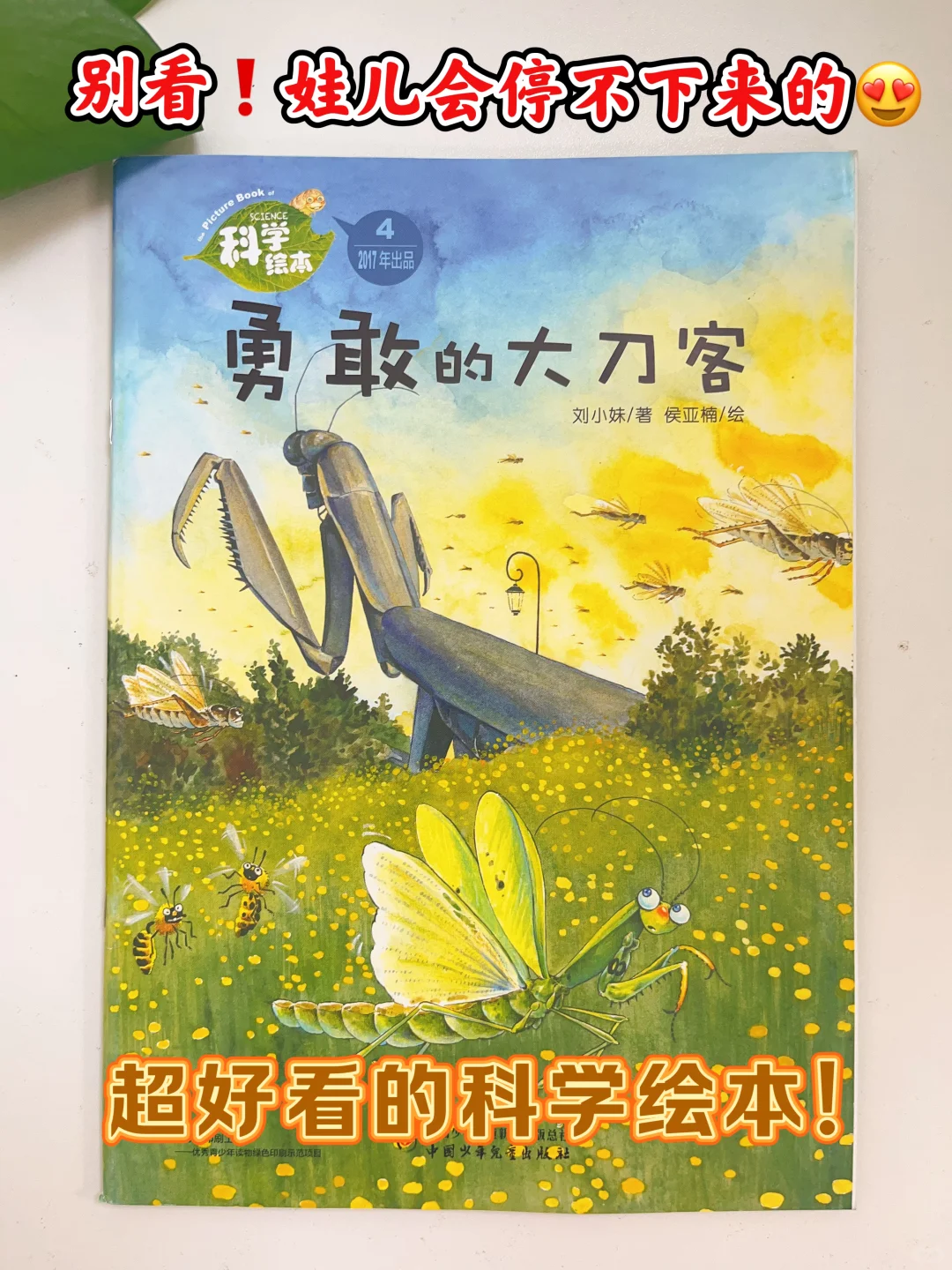 只一眼就被惊艳，很多妈妈建议出续集‼️