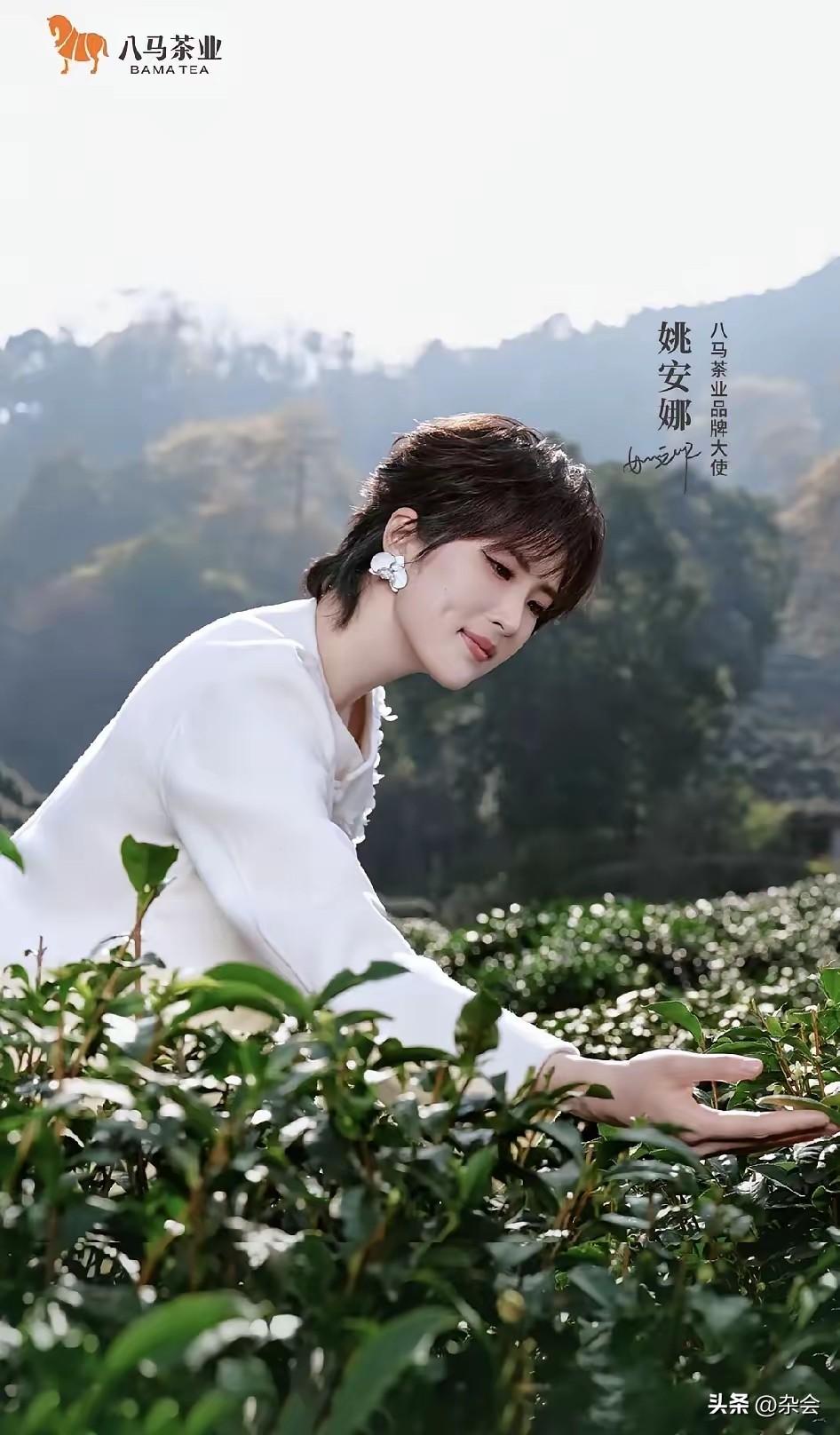 八马茶业这波选人很有品，找姚安娜代言，可谓精准打击。

在闽粤一带，茶桌就是企业