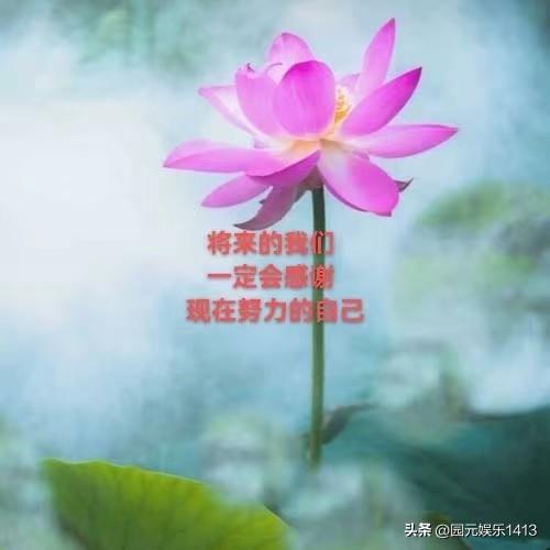 说一句话鼓励自己三十岁前自己做什么都有动力，现在四十岁的我无欲无求，对什么都麻木