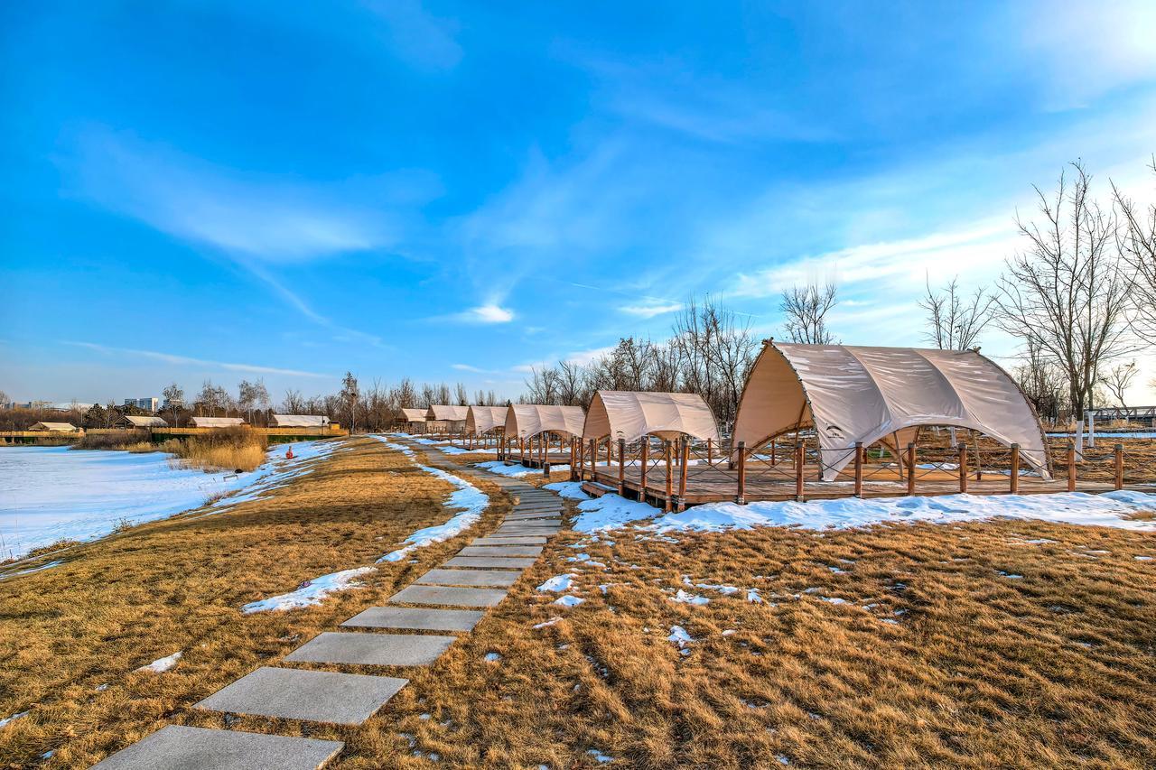 《冰岸待青，帐候游人》

残雪还未褪尽，却已失了隆冬时的矜持。枯草间的积雪化得斑