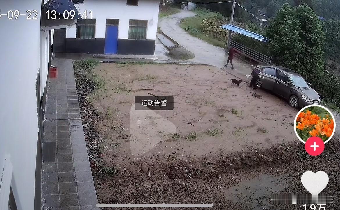 泪目了！忠犬八公的故事照进了现实！
四川绵阳，一老人在家中突然离世，老人的儿子将