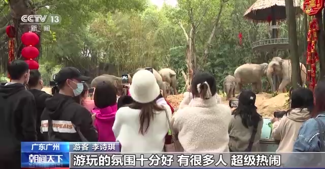 石景山|亚洲象“威风”过周岁生日 呆萌惹人爱