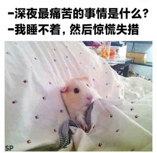 惊慌失措中… ​​​