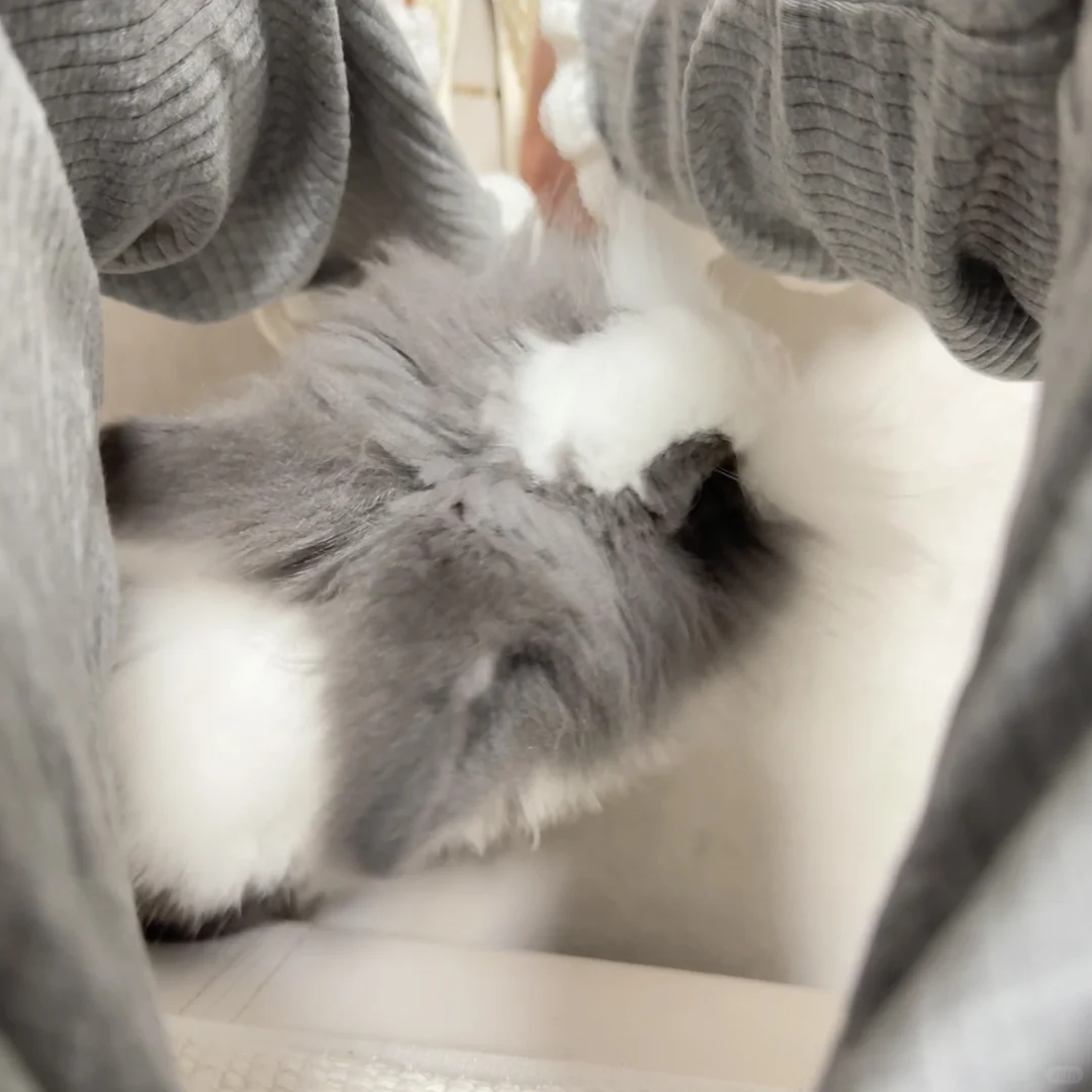 麻麻，看看我吖