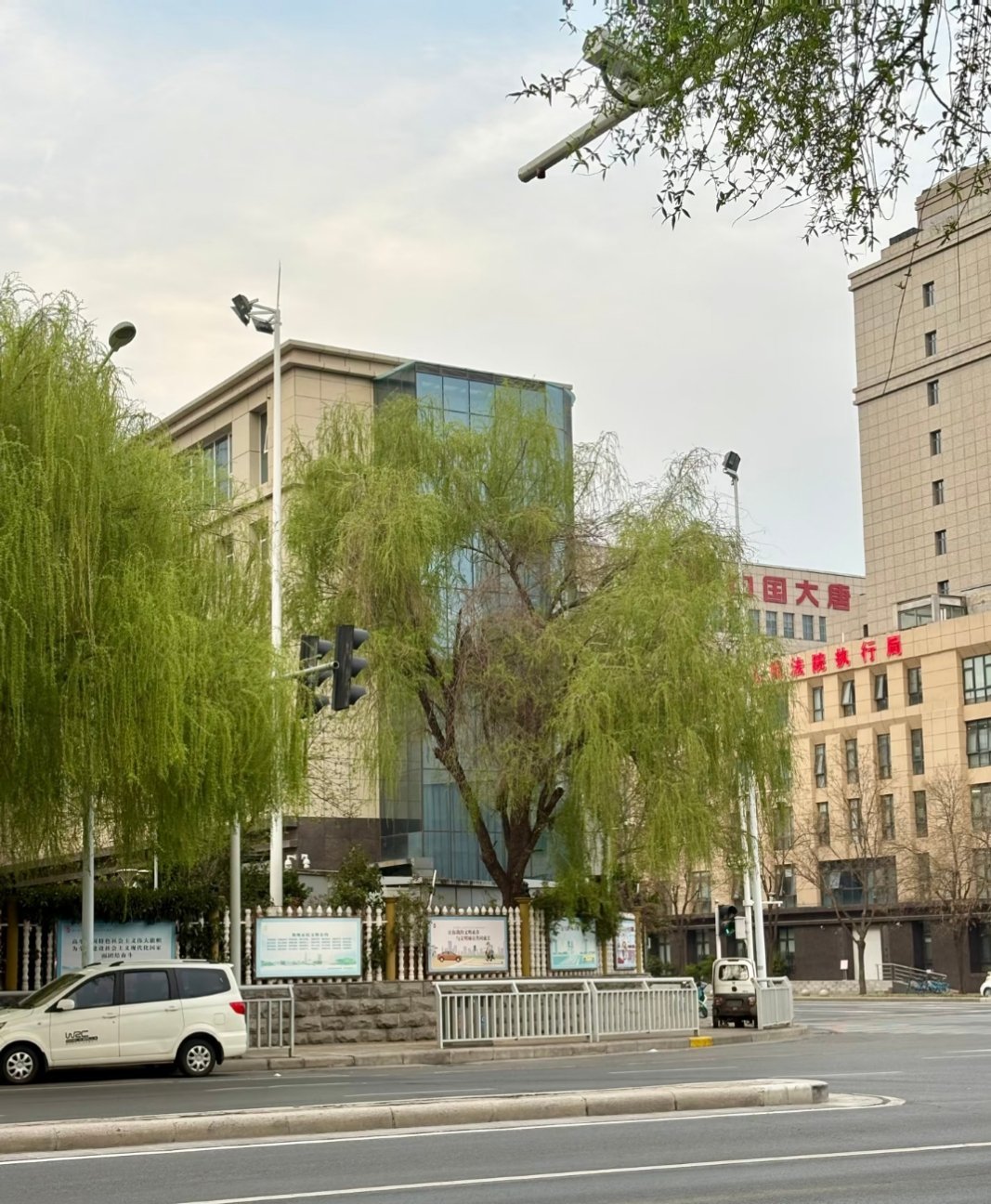 真的很“柳树”看到了一颗很柳树的柳树旁边那个就秃秃的 