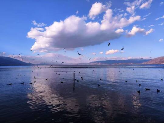 我在人间·贩卖好风景🍸🍸