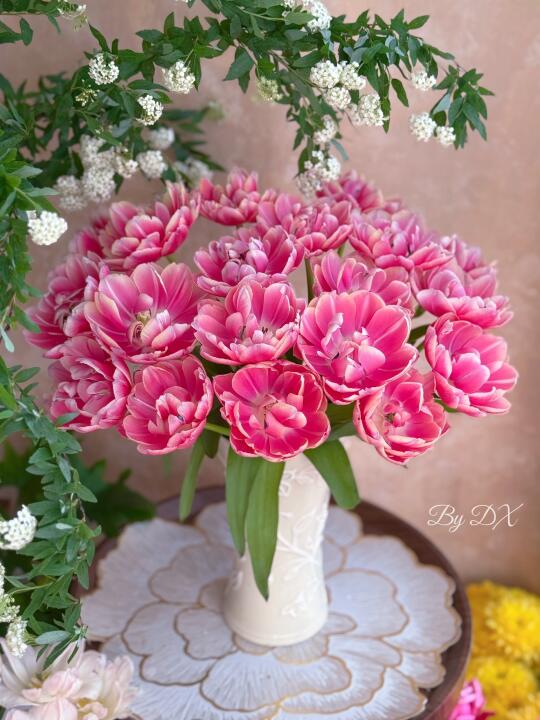 草莓松饼郁金香，我每年必买🌷