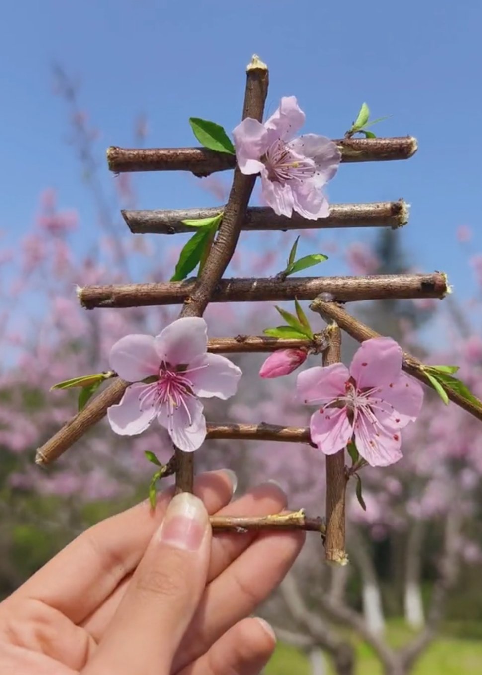 啥时候才能有实时，真没招了 杭州