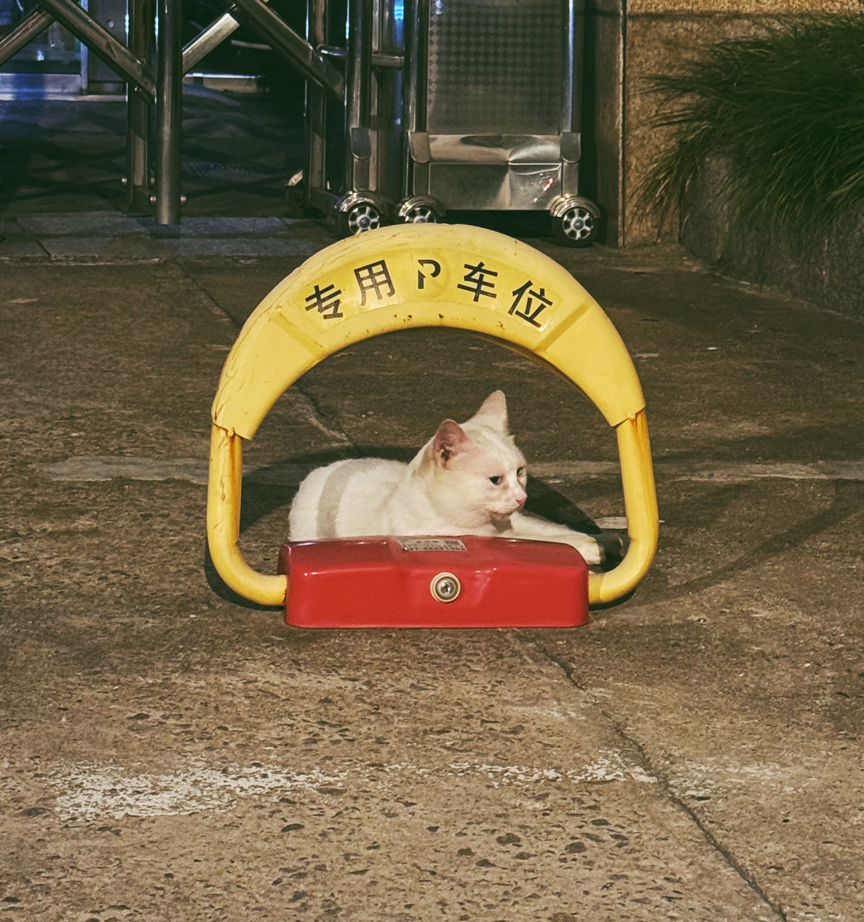 🚌 ​​​