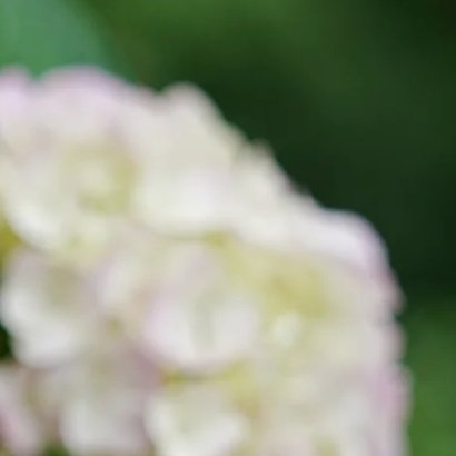 每日一善‎每日一善 现代人真的太累了。不是不够努力，而是被无意义的内耗，悄悄榨干