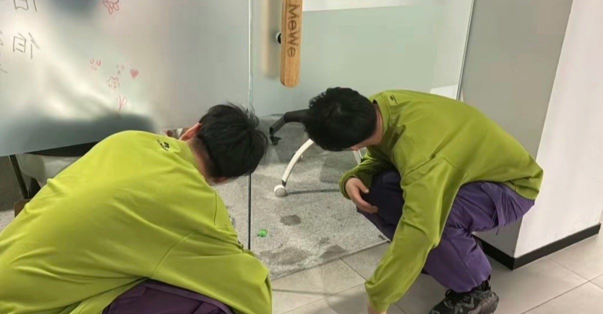 小猪你们可以永远不离开妈妈吗 