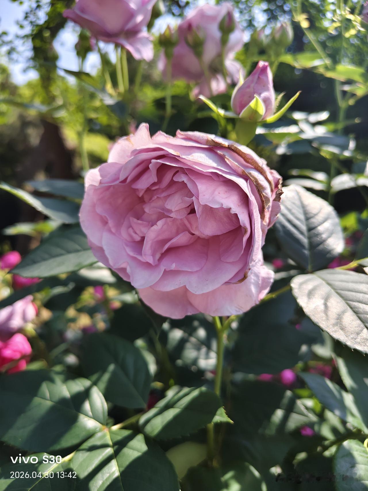 夏日生活打卡季
