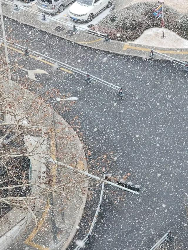 有阳光时下雪有什么征兆吗？
                      微头条