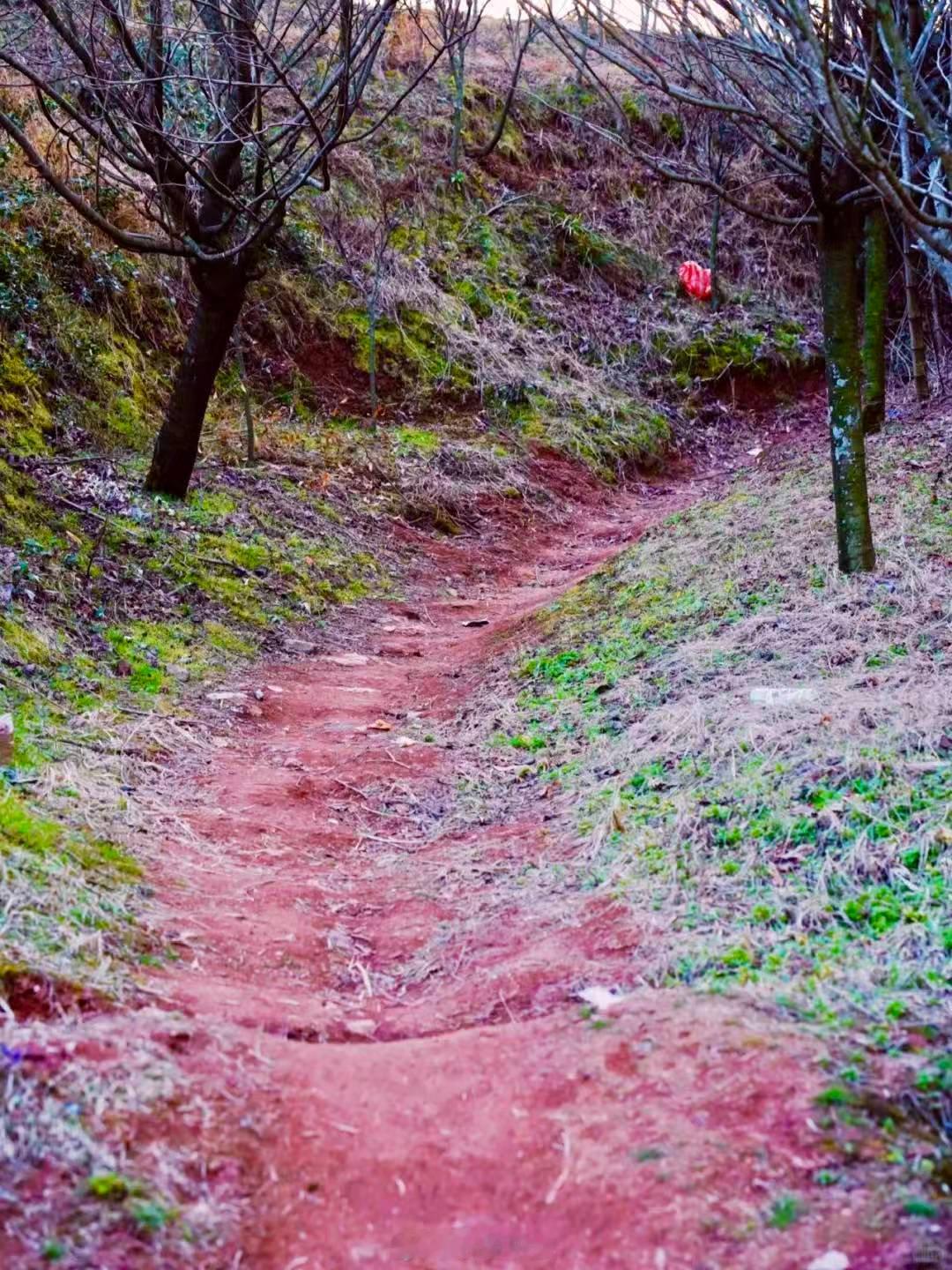 宁波也有火焰山 不必远赴西域，宁波四明山间藏着一处小众地质奇观火焰山。它坐落在余