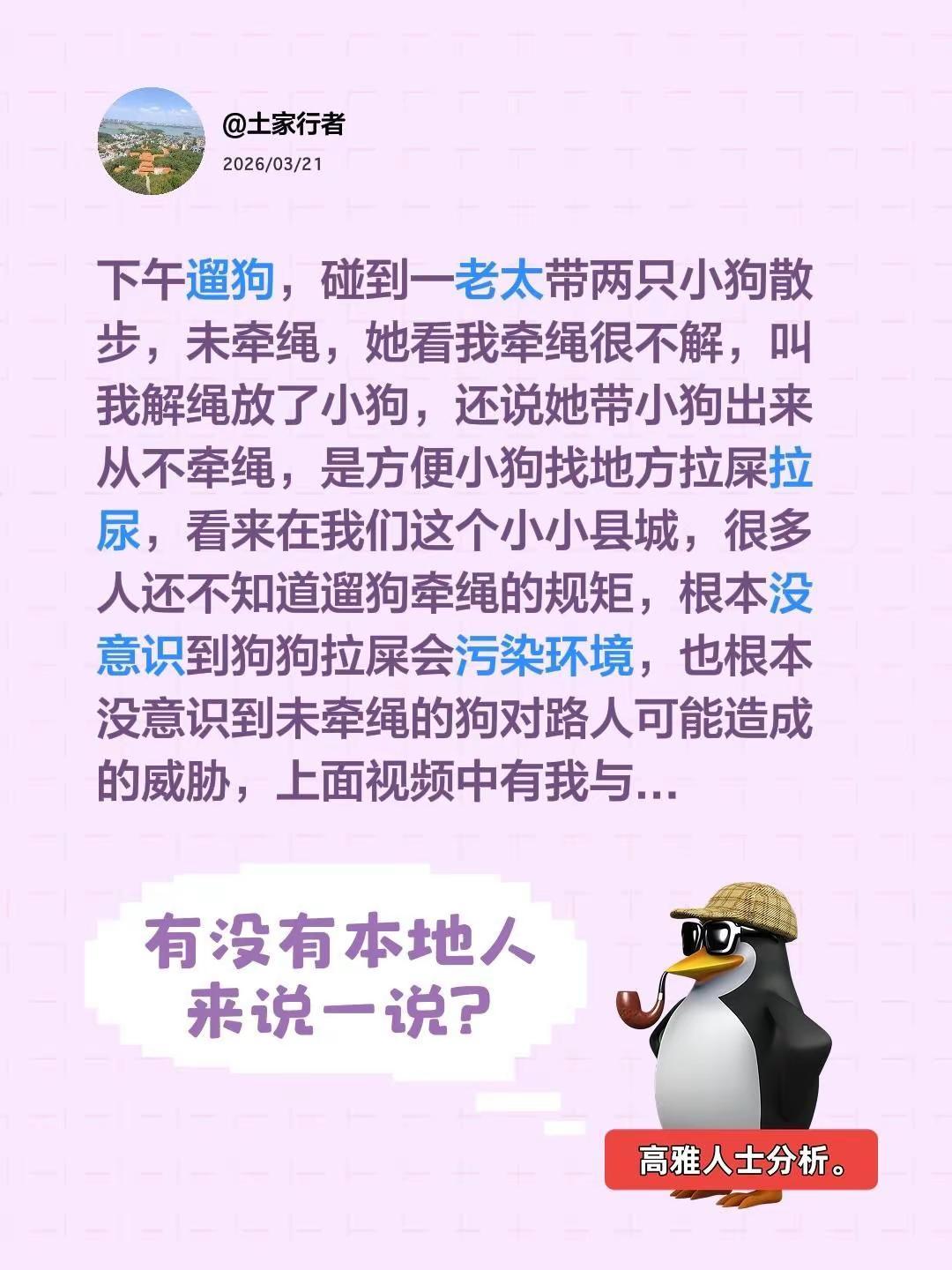 我评论了@土家行者 的作品：下午遛狗，碰到一老太带两只小狗散步，未牵绳，她看我牵