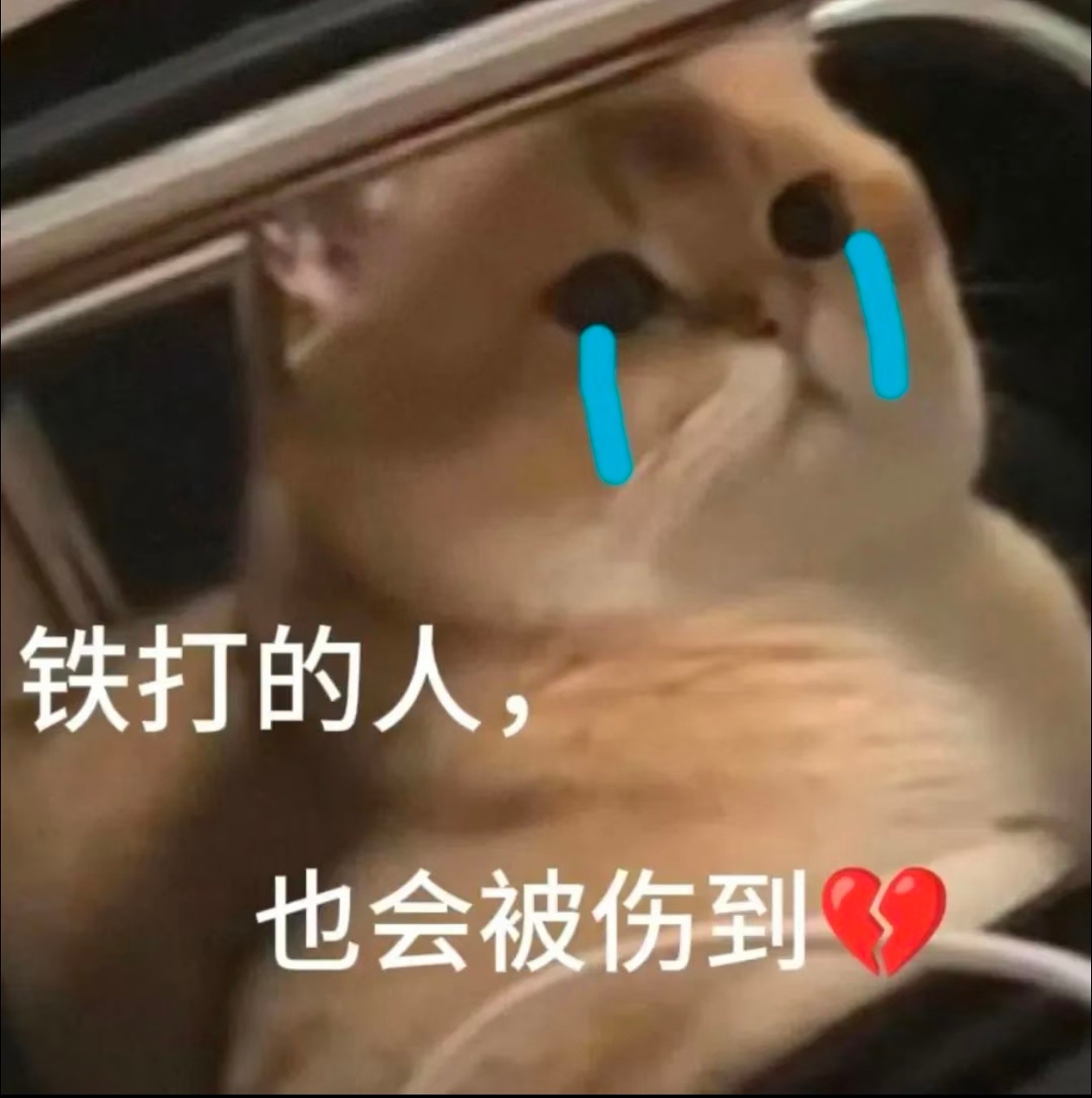 刘诗诗醉梦 lss刘诗诗沈乐水 再次体验团键两连败，空号这次不想多说了，该说的已