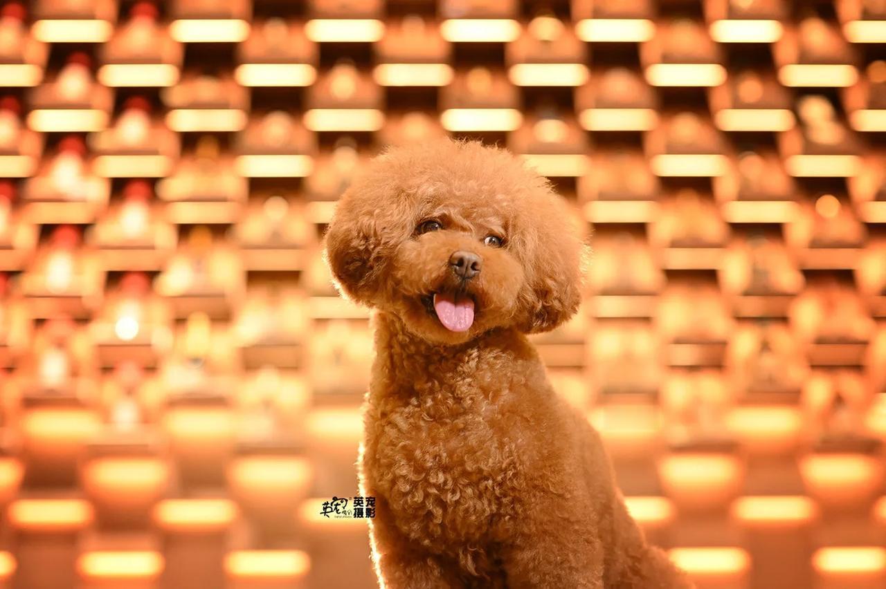 武汉，5月行程开放预约
980可拍
今日起订昂～🥳