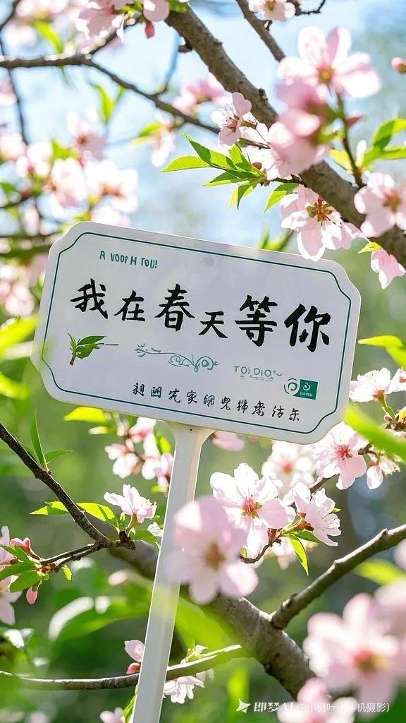 五一抢票大战今日开启！官方攻略助您轻松应对
随着春天悄然离去，夏日气息渐浓，五一