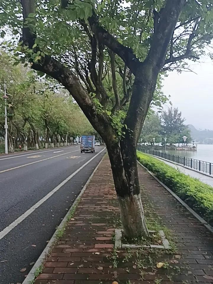 你敢相信吗？这里就是七星岩风景区了，这里环境优美，空气清新