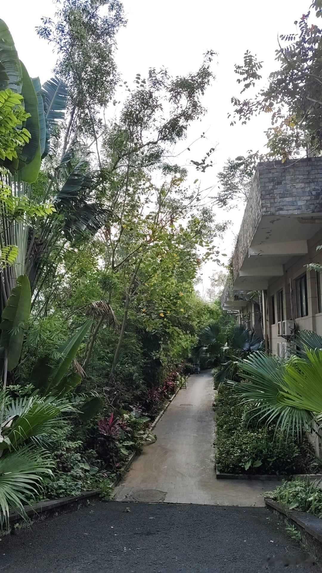 张雪峰离世后公司由团队接管，运营如常；贺娇龙账号更名，新人接棒。反思一下：事业可