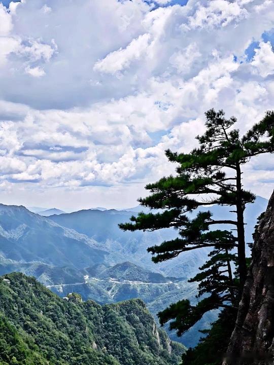 三伏天懒人避暑首选安徽明堂山，山林盛夏稳定 23℃，整片茂密林海层层遮阳，进山瞬