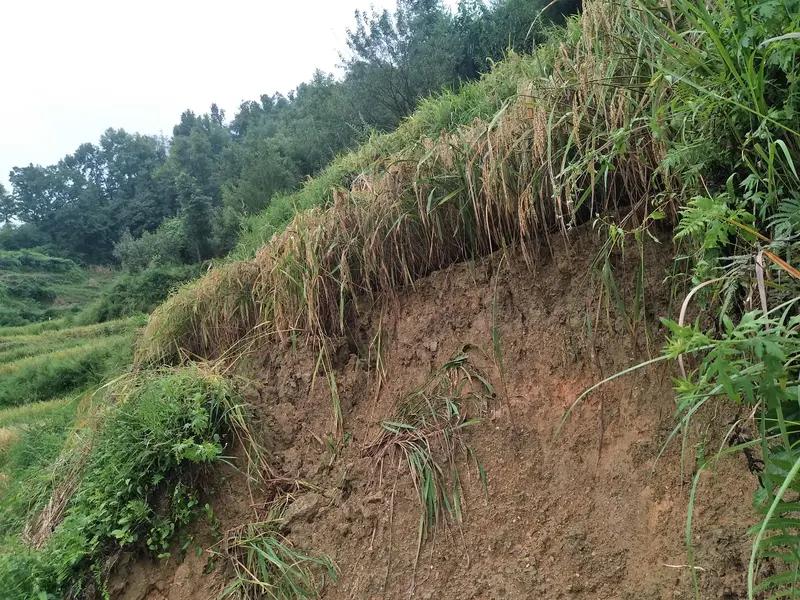 12月10日，甘肃省临夏州永靖县盐锅峡镇黄茨村发生滑坡，造成45户农户住宅被掩埋