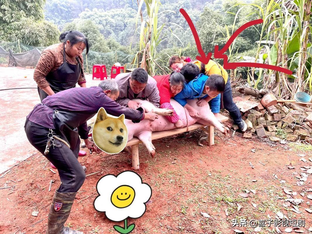 女子求助“按年猪”，引来数百热心人

近日，云南一女子在网上求助“按年猪”，称家