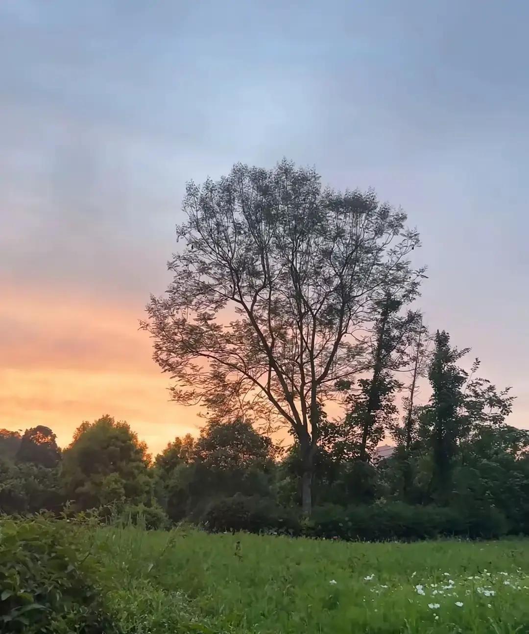 **他倒下那半年，我用一双肩膀把这个家和厂子一起撑住了。**

我后爸不是亲的，