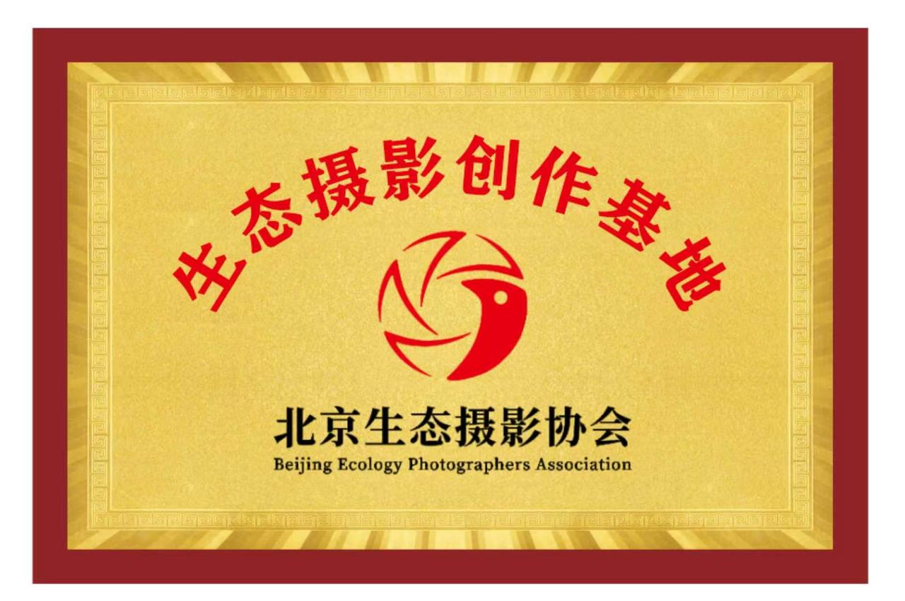 中国书画春晚青岛会场、中国书画春晚青岛即墨书画创作基地、中国诗歌诗词春晚山东会场
