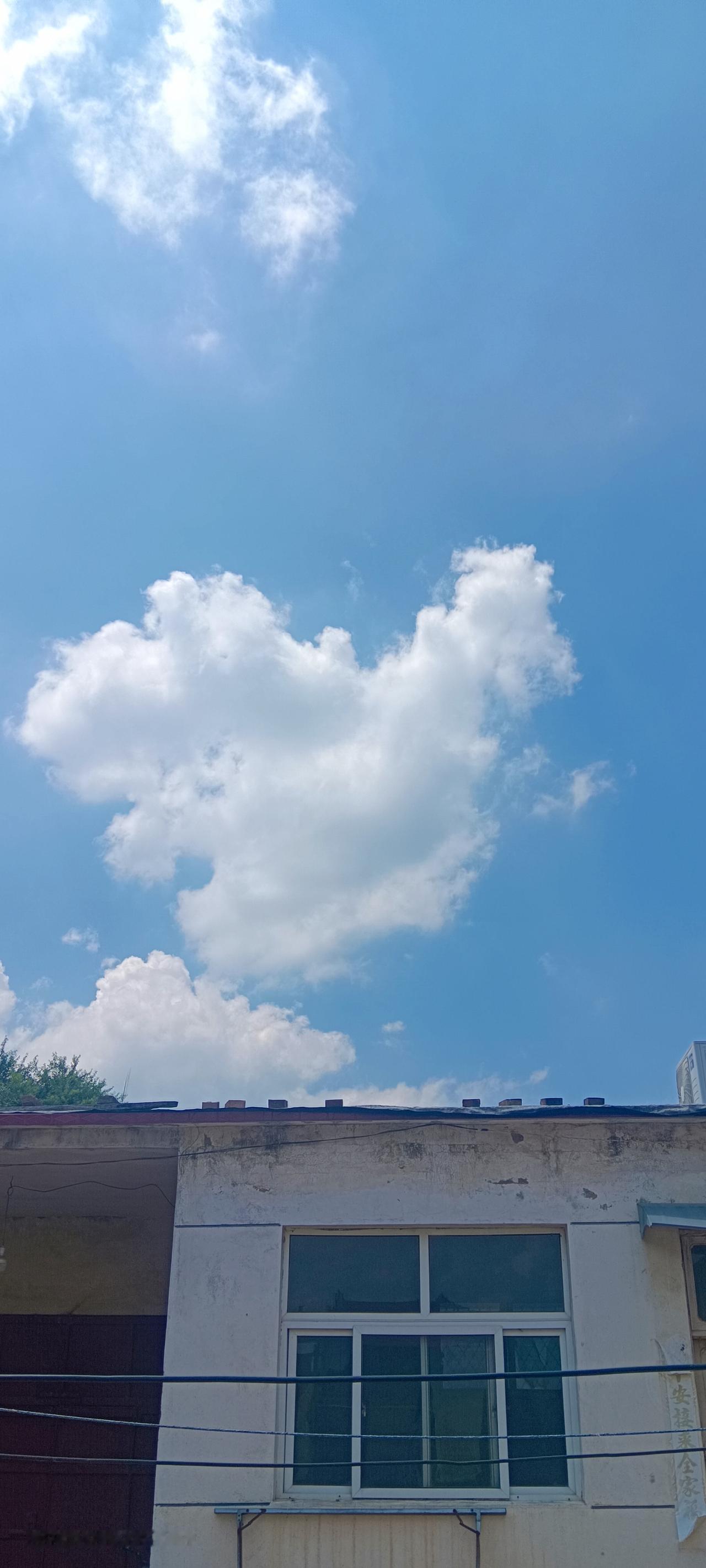 夏天，我非常喜欢看天上的云彩。觉得这世界上还只有这云彩才是最好看的东西。
中午的