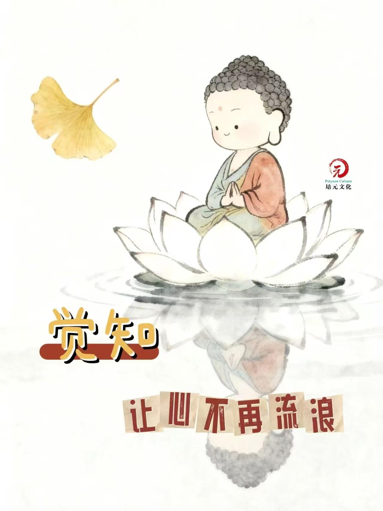 福报不是求来的，而是修来的
如果你体弱，那就多放生
如果你财少，那就多布施
如果