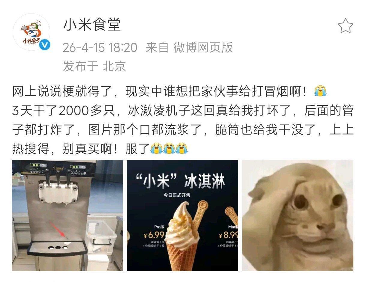 一款看似平平无奇的冰淇淋而已，加上小米字就截然不同了，发布会意外喜提了个热搜，3