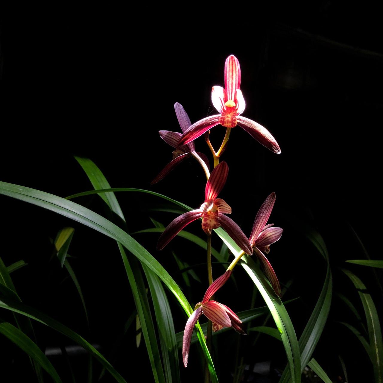 @看看你相册里的花