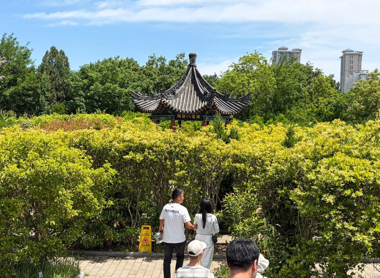 你有没有发现一件怪事？你对一个人越好，对方反倒越不把你放在心上。

人过五十岁，