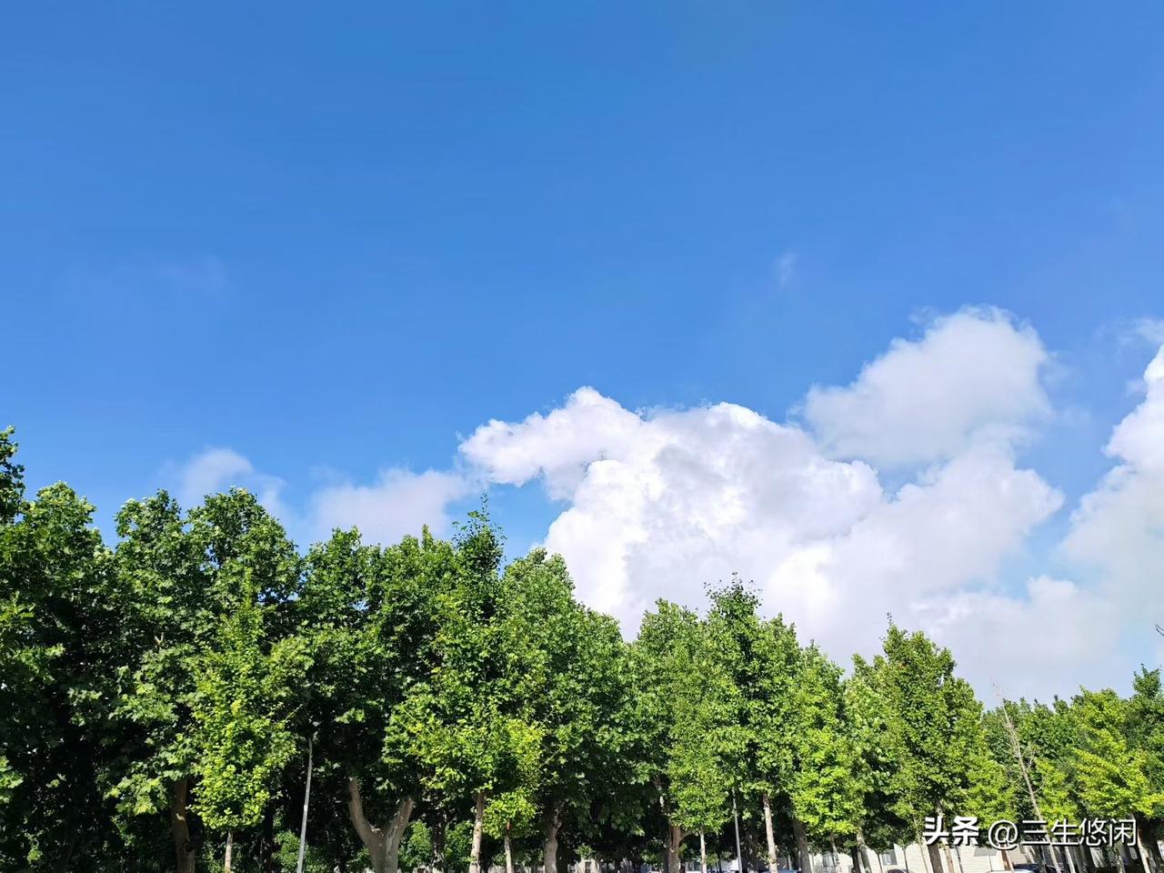 纪委是如何查处不正当男女关系的？

纪委对出轨者会怎么处理呢？
 
有个别公职人